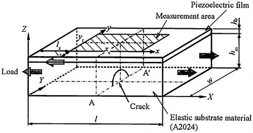 Figure 6 Specimen with a surface crack.Citation[19]