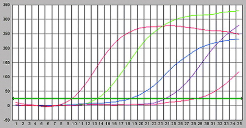 Figure 1.  Fluorescent intensity curves for GR–a standard, from left to right the concentration of standard is 1×108, 1×107, 1×106 and 1×105 copies/ml.