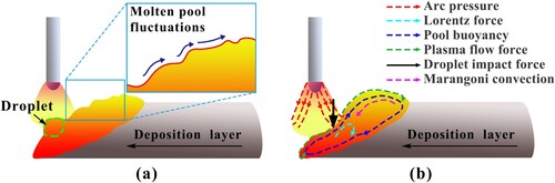 Figure 17. Schematic diagram of the molten pool fluctuation process: (a) droplet impact on the molten pool and (b) fluctuations and forces in the molten pool after droplet impacts.