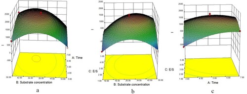 Figure 4. Effect of interactions of various factors on I value of trypsin-digested cow’s placenta. The Z-axis is integrated extraction rate (I); (a) is the time-substrate concentration interaction diagram, (b) is the concentration-enzyme bottom ratio interaction diagram and (c) is the enzyme bottom ratio-time interaction diagram.