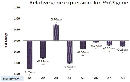 Figure 4. Relative expression levels to the control (Fold change log2 transformed) of P5CS gene in leaves tissues of eight seedy strains. Data were analyzed using the 2−ΔΔCT method.Means are statistically different according to Duncan’s Multiple Range Test at P ≤ 0.05.