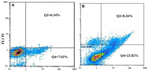 Figure 9 Apoptosis analysis of the transfected cells by LD50 dose of the GOAS-pEGFP-p53 on cells compare to control. (A) Control. (B) Treated cells.