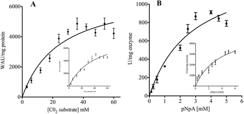 Figure 2.  Michaelis–Menten curves for the determination of the apparent Km and Vmax calculated using CO2 (A) or p-NpA (B) as substrate. The kinetic constant values are reported in Table 3. Inserts represent the Michaelis–Menten curve calculated for the mammalian enzyme (bCA II). Each point is the mean ±SEM of 3 independent determinations. Data have been analyzed by means of GraphPad Prism 5.0 software (GraphPad Software, San Diego, CA).