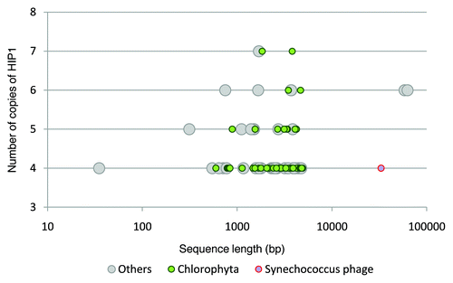 Figure 8 Number of copies of HIP1 vs. sequence length from GenBank entries. Only sequences having 4 or more copies of HIP1 and less than 100,000 bp are shown. Different circle sizes are only for visualization purposes.