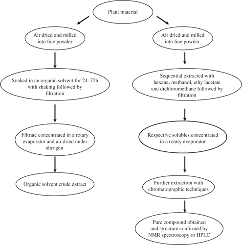 Figure 1.  Isolation and extraction of active ingredients from medicinal plants.