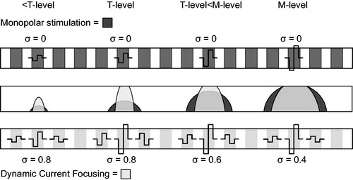 Figure 1. The concept of loudness coding with dynamic current focussing (DCF) and monopolar (MP) stimulation. The upper bar for each loudness step shows the auditory nerve with the excitation pattern in grey. The lower bars show the implanted electrode array with the electrode contacts in grey. In the DCF strategy, the amplitudes of the main and neighbouring electrode contacts are increased equally up to the threshold level (T-level). To increase the loudness from the T-level, σ is decreased as a function of the stimulus level, resulting in a broader excitation pattern and higher loudness level. In MP mode, the amplitude of the main electrode contact is increased as a function of the stimulus level, resulting in broad current spreads at all loudness levels. M-level, most comfortable level.