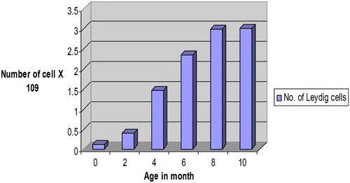 Figure 2. Number of Leydig cells in the testes of Assam goats at different post natal ages.