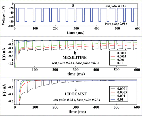 Figure 5. Effect of concentration of drugs in ionic current, in presence of pulse train protocol. In (A), first the voltage is kept at −20 mV and after few milliseconds it is brought back to base −80 mV after that the pulse train begins. Here the base pulse duration is 0.01s and test pulse duration is 0.03 s. In (B), the effect of Mexiletine in ionic current is shown for increasing concentrations such as 0.0001, 0.0005, 0.001 and 0.01 M respectively. In (c), similar plot is shown for lidocaine. For both the cases the test pulse is kept for 0.03 s and the base pulse is kept for 0.01 s.