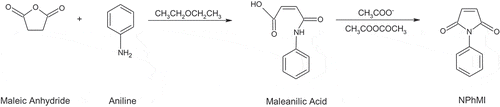 Scheme 1. Synthesis of N-phenylmaleimide (N-PhM) monomer