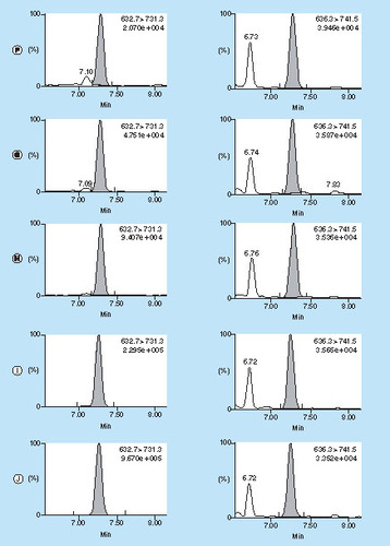 Figure 4. Extracted ion chromatograms of analyte DILLTQSPAILSVSPGER (632.7 ≥ 731.3) on the left and DILLTQSPAILSVSPGER [13C615N4] (636.3 ≥ 741.5) on the right at different load concentrations of infliximab in rat serum: (A) blank, (B) 5 ng/ml, (C) 10 ng/ml, (D) 20 ng/ml, (E) 100 ng/ml, (F) 200 ng/ml, (G) 500 ng/ml, (H) 1 μg/ml, (I) 2 μg/ml and (J) 10 μg/ml, spanning more than 3 orders of magnitude.The theoretical DILLTQSPAILSVSPGER end concentrations ranged from 15 pg/ml to 29 ng/ml. The DILLTQSPAILSVSPGER [13C615N4] end concentration was always 909 pg/ml.