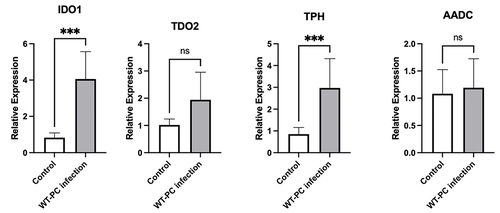 Figure 6 mRNA expression levels of enzymes associated with tryptophan metabolism in the lungs in the control group and Pneumocystis-infected WT mice (***P < 0.001).