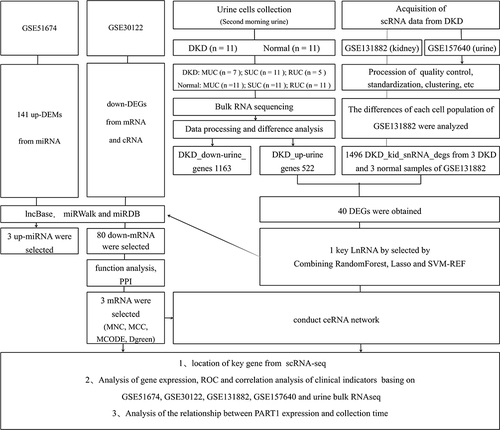 Figure 1 Workflow Diagram.