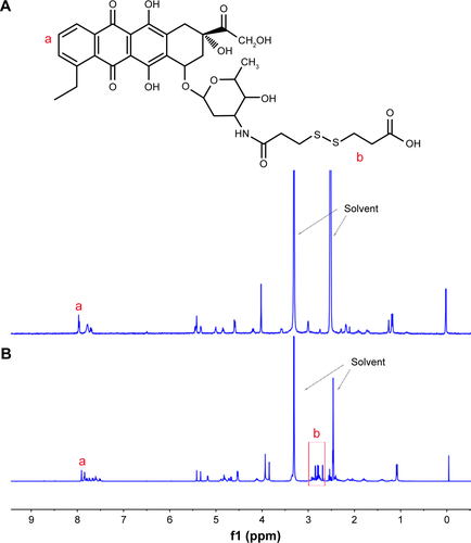 Figure S1 1H NMR spectra of DOX (A) and DTPA-DOX (B) in DMSO-d6.Abbreviations: DMSO-d6, deuterated dimethyl sulfoxide; DOX, doxorubicin; DTPA, 3,3′-dithiodipropionic acid; NMR, nuclear magnetic resonance.