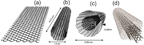 Figure 1. Structure of (a) graphite sheet, (b) single-wall (SWCNT), (c) double-wall (DWCNT), and (d) multiwall carbon nanotube (MWCNT) (available from online: http://jnm.snmjournals.org/content/48/7/1039/F1.expansion.html).