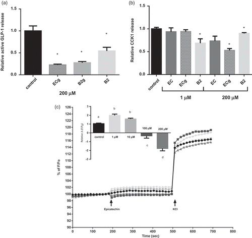 Figure 1. Effects of flavonols on enterohormone secretion and cellular membrane potential in secretin tumour cell line (STC-1) cells. STC-1 cells were treated for 2 h with 200 µM and 1 µM of different flavanols found in grape seed proanthocyanidin extract (GSPE). (a) glucagon-like peptide-1 (GLP-1) and (b) cholecystokinin-1 (CCK1) levels were measured in the culture medium. (c) Effects of flavanols on cellular membrane potential after epicatechin stimulation expressed as % F/F0 and relative Δ(F/F0) (normalized to the control cells) (a), where F is fluorescence at 195 s and F0 is basal fluorescence at 180 s. The data are displayed as the mean ± SEM. *Statistically significant differences versus controls at p < 0.05; a,b,c,dstatistically significant differences at p < 0.05. ECg, (–)-epicatechin gallate; B2g, procyanidin dimer B2–gallate; B2, procyanidin dimer B2.