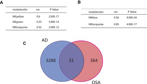 Figure 4 Screening for key modules and common genes. (A) Green, turquoise and yellow modules were screened in AD. (B) Blue and turquoise modules were screened in OSA. (C) 33 common genes in key modules of OSA and AD were screened.