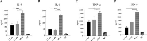 Figure 6. Expression of inflammatory cytokines in serum from immunized-challenged Kunming mice. Immunized (vaccine or Alum-only) mice were i.p. inoculated with a lethal dose (3.46 × 107 CCID50/mouse) of CV-A6-R10. The levels of IL-4 (A), IL-6 (B), TNF-α (C) and IFN-γ (D) in the serum of Kunming mice were determined with individual mouse ELISA detection kits at 3 dpi. Data represent the mean results of three experiments ± SEM and were analyzed with one-way ANOVA (****, P < 0.0001; ***, P < 0.001). NC, PBS-inoculated negative control.