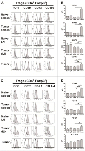 Figure 1. Increased suppressive phenotype of tumor-infiltrating Tregs. Foxp3-GFP mice were injected on day 0 with 1 × 106 TC-1 cells, and 25 days later, the mice were sacrificed and cell suspensions were prepared from the spleens (SpT), tumor-dLN (dLN) and tumors, stained and analyzed by flow cytometry, and compared with the LN (LNN) and spleen (SpN) from naive mice. (A-D) The surface expression of PD-1, CD39, CD73, CD103, ICOS, GITR, PD-L1 and CTLA-4 (filled grey line) by CD4+ Foxp3+ Tregs purified from the indicated organs is shown. Labeling with isotype controls is represented by black lines. Data from one representative experiment are shown in A and C, whereas the geometric mean fluorescence intensity (MFI) ± SEM is shown in B and D. The results represent the cumulative data from 4 independent experiments (n = 8–9 mice per group). * p < 0.05, ** p < 0.01, *** p < 0.001 and **** p < 0.0001 as determined by the Mann-Whitney test.