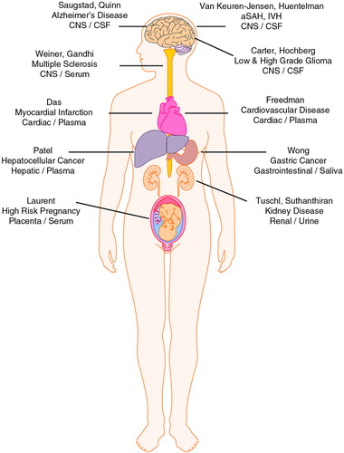 Fig. 1.  ERCC biomarker groups.