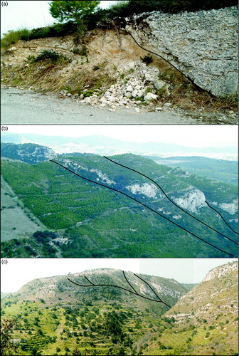 Figure 3. (a) Low-angle border fault along the eastern side of the Tellaro Basin in Contrada Renna Alta; (b) fault segments of the N100° oriented shear zone, linking the eastern and the western border faults, along the northern margin of the Tellaro Basin; and (c) imbricated thrust on Middle Pliocene calcareous breccias, splaying from the fault segment of Contrada Renna Alta.
