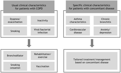 Figure 1 A concept of parallel approach for the management of chronic obstructive pulmonary disease (COPD).