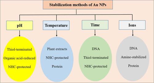 Figure 7 Various methods of stabilizing Au NPs.