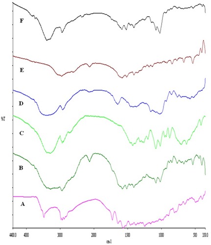 Figure 7 FTIR spectra of rifampicin-loaded spray-dried nanocomposites powder (F7) with its individual components, rifampicin (A), physical mixture (B), mannitol (C), maltodextrin (D), leucine (E) and formula F7 (F).