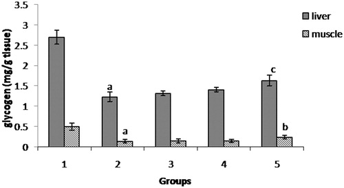 Figure 7. Effect of AME on glycogen content. 1: sedentary control, 2: exercise control, 3: 100 mg AME/kg b.wt, 4: 200 mg AME/kg b.wt and 5: 400 mg AME/kg b.wt AME. As compared with sedentary control: ap < 0.01. As compared with exercise control: bp < 0.05, cp < 0.01.