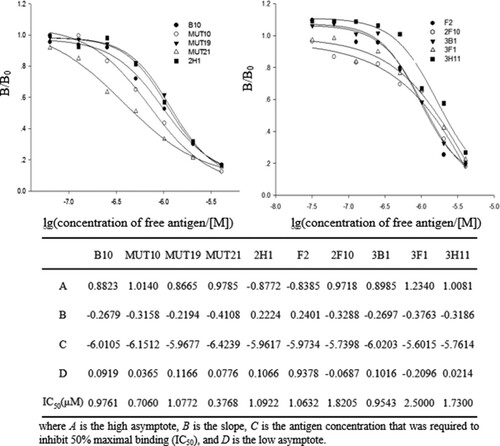 Figure 2. Determination of the apparent affinity of mutants and parental clones by competitive phage ELISA (n = 3). B/B0 stands for the ratio ELISA mean absorbance values of antibody-binding response in the presence of free antigen to the absence of antigen. Various concentrations of free antigen inhibited the binding of phage antibodies with the coating antigen, the signal was detected by using HRP-conjugated anti-M13 monoclonal antibodies. The calibration curves were constructed by using a four-parameter equation by Sigmaplot 12.0.