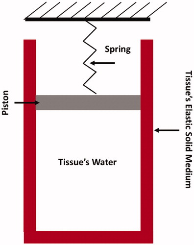 Figure 1. Sketch illustrating the assumed skin’s tissue microstructure. Skin’s tissue water is assumed to be entrapped within a cylindrical cavity that is attached to a spring-piston compound. The cavity’s wall represents the tissue’s elastic solid medium.