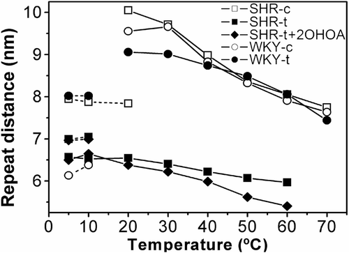 Figure 5.  Dependency of the repeat distance with temperature for the reconstituted membranes from total lipid extract from SHR-c (□), SHR-t (▪), SHR-t plus extra added 2OHOA (♦), WKY-c (○) and WKY-t (•) liver plasma membranes. Phases represented are Lα (dotted lines) and HII (continuous lines). Non-identified phases have been omitted. The heating sequence is only shown.