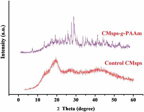 Figure 5. XRD graphs for control CMsps and CMsps-g-PAAm.