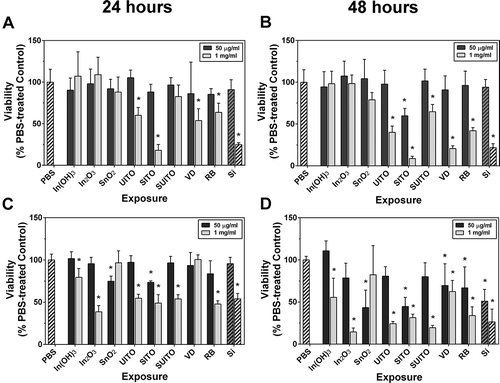 FIGURE 6. Indium compounds reduce cell viability. (A, B) RAW 264.7 cells were treated with indium compounds or Min-U-sil (Si) and incubated at 37° C for 24 h (A) or 48 h (B). MTT was added to wells for the last 4 h, and absorbance was read at 570 nm. All values were normalized to PBS-treated control wells, which were calculated to represent 100% viability. (C, D) The same as in (A) and (B), except with BEAS-2B cells. Error bars represent the mean ± SD (n = 6). Asterisk indicates significant at p < .05 compared to PBS controls.