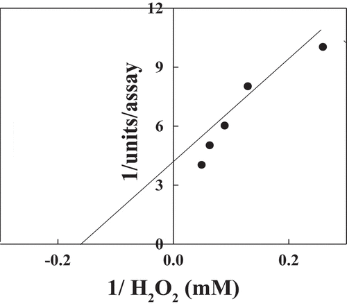 Figure 7. Reciprocal of Lineweaver–Burk plot relating date palm cv. Agwa POII reaction velocities to H2O2.