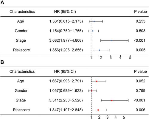 Figure 3 Independence prognostic value of the miRNA signature model. (A) Univariate analysis revealed that risk score was related to overall survival. (B) Multivariate analysis implied that risk score was an independent prognostic factor for colon cancer. The higher the risk score, the worse the prognosis of colon cancer.