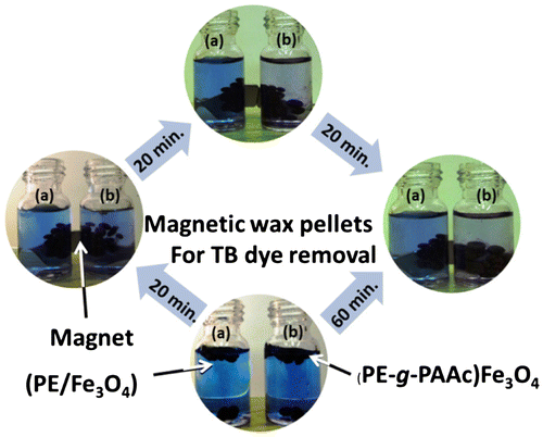 Figure 7. The sequence of dye removal efficiency using (b) (PE-g-PAAc)/Fe3O4 compared with (a) (PE/Fe3O4).