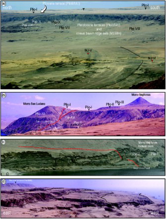 Figure 4. Field photographs showing (a) a series of marine terraces (PleiMMU) carved on the bedrock (white arrows) that pass into extensive sets of beach ridges (Mj Afm, red arrows) in the Caleta Herradura half-graben (in the background, marked by black arrows, the PlioMMU terraces); (b) Pliocene and Pleistocene terraces (black and white arrows, respectively) at Morro Mejillones, northern end of the Mejillones Peninsula. The San Luciano fault is a normal fault that downthrows the rocks to the west (i.e., to the right in the figure); (c) Pleistocene marine terrace (white arrow) partly hidden by alluvial fan deposits shed from the Morro Mejillones footwall block (El Rincon, Mejillones Bay, encircled person for scale in the lower left side); (d) the staircase-morphology formed by the flight of Pleistocene terraces (PleiMMU) at Rada de Abtao (the inner margin of the terraces are highlighted by the dashed black lines). In the background (upper left-hand side) the high palaeo sea-cliff is cut by the Pliocene terraces (PlioMMU) on the top of the Morro Mejillones footwall block (black arrow).