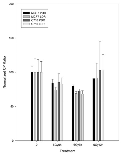 Figure 6. Normalized CP ratios for the β polymerase levels of expression following LDR and PDR irradiation for the MCF7 and C716 cell lines. Student's t-test determined that the differences between matched PDR and LDR doses, as well as LDR and PDR untreated vs. treated dose points are not statistically significant at the 95% confidence level for either cell line.