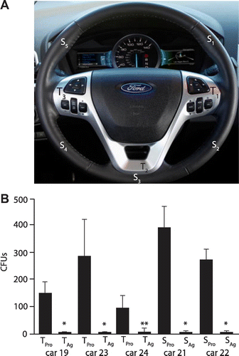 Figure 4. Analysis of CFUs present on production steering wheels vs silver treated steering wheels. (A) Locations of swabbing at hard trim piece locations (T1–3) or soft exterior locations (S1–5). (B) Number of CFUs isolated from swab locations from trim (T) or exterior steering wheel locations (S) from production (Pro) vs silver coated (Ag) steering wheels. *p < 0.005 vs the comparable production piece; **p < 0.05 vs the comparable production piece.