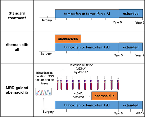 Figure 1 Treatment strategies.