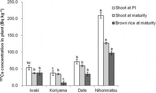 Figure 1 Comparisons of cesium-137 (137Cs) concentration in shoots and brown rice among soils in pot experiment (bars indicate SE; values with the same letter are not significantly different among soils; P < 0.05). Notes: PI - panicle initiation stage.