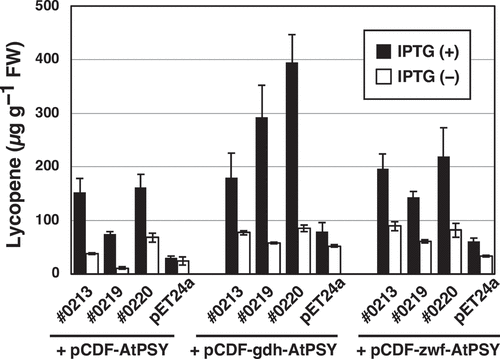 Figure 4. Lycopene production by E. coli BL21(DE3) that carried pET-#0213, pET-#0219, pET-#0220 or pET24a, and pCDF-AtPSY, pCDF-gdh-AtPSY or pCDF-wzf-AtPSY, in addition to pAC-HIEI. Values represent the mean ± S.D. (n = 3).