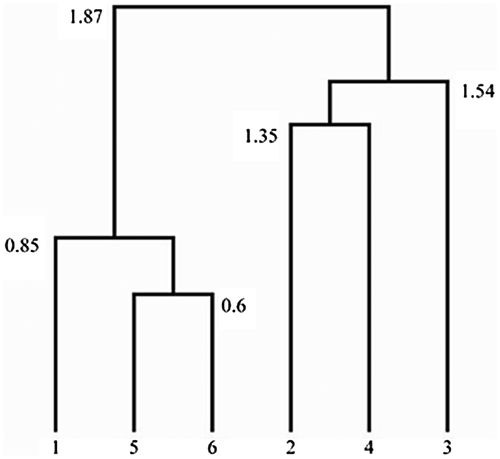 Figure 2. Dendrogram – Grouping of value profiles (companies). Croatia (1); Italy; (2) Hungary (3); Romania (4); southern Serbia (5); northern Serbia (6). Source: Authors’ processing.