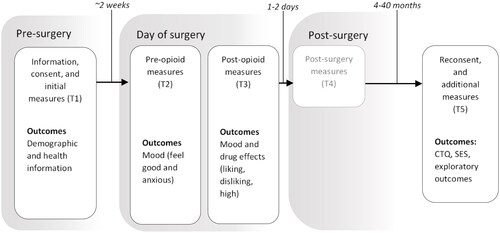 Figure 1. Study procedure in the context of the broader research project. T: timepoint for data collection. T4 is in grayscale to indicate that outcomes were collected but are not included within the current study. CTQ: childhood trauma questionnaire, SES: socio-economic status.