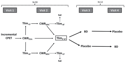 Figure 1. Study protocol. CPET: cardiopulmonary exercise test; CWR: constant work rate; Tlim: time to exercise intolerance; BD: bronchodilator.