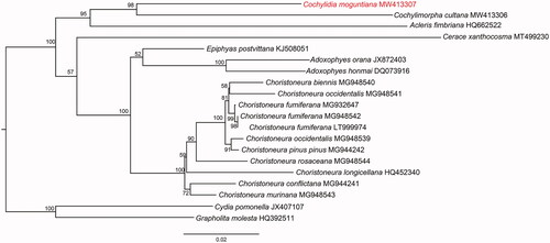 Figure 1. Phylogenetic tree of 18 Tortricinae species and two Olethreutinae species based on the concatenated dataset of 13 PCGs using the maximum-likelihood (ML) method. The alphanumeric terms following species names indicate the GenBank accession numbers.