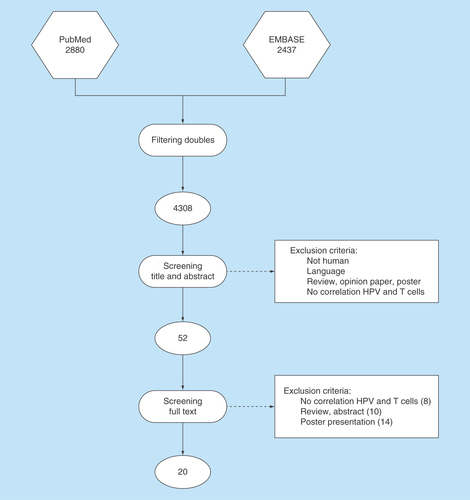Figure 1.  Flow chart for systematic literature search.