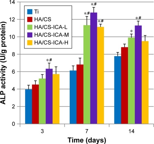 Figure 11 ALP activity of MC3T3-E1 cells cultured on different surfaces for 3, 7 and 14 days.Notes: Data are expressed as mean ± SD (n=3). *A statistical significance compared to the Ti group (P<0.05). #A statistical significance compared to the HA/CS multilayer group (P<0.05).Abbreviations: ALP, alkaline phosphatase; CS, chitosan; HA, hyaluronic acid; ICA-H, icariin-high dose; ICA-L, icariin-low dose; ICA-M, icariin-middle dose; Ti, titanium.