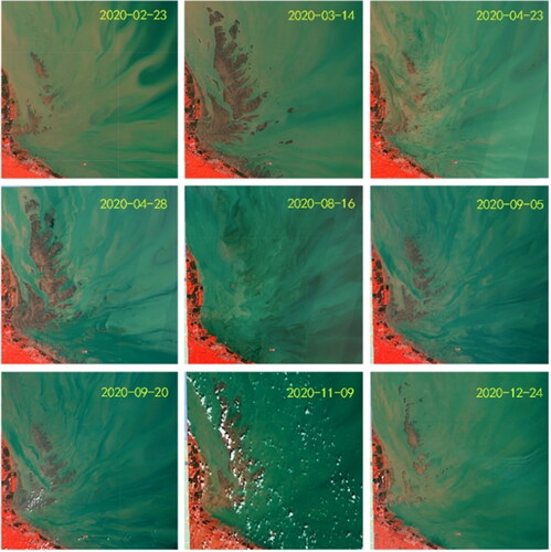 Figure 3. Sentinel-2 of T51SUS frame number image in 2020; image RGB band settings corresponding to band 8, band 3 and band 2 stretched display; time stamp in the upper right corner of each image is the imaging time.