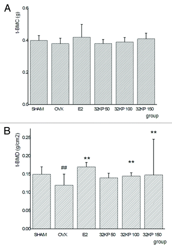 Figure 1. Effects of 16-weeks treatment with 32KP or E2 on (A) the total bone mineral content (t-BMC) and (B) bone mineral density (t-BMD) in right femur of ovariectomized (OVX) Rats by DEXA. Values are mean ± SEM *p < 0.05, **p < 0.01 vs.OVX; #p < 0.05, ##p < 0.01 vs. SHAM as evaluated by ANCOVA.